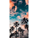 Jalyanna pls sub in yt