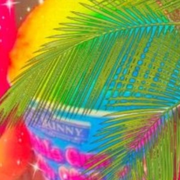 🌺
