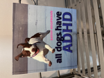Skibidi. Drop drop op