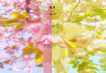 ANGELSVÉIL