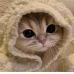 you want to play lets play