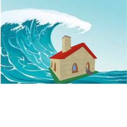 survive the Tsunamis