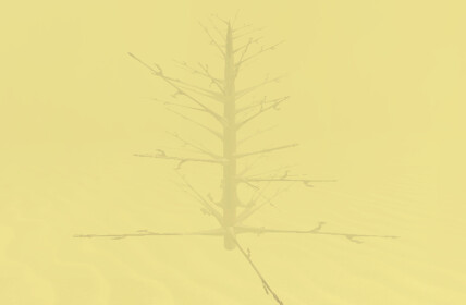 Deserted Desert