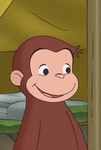 The bobo monkey group