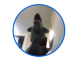 TheSuperSharkPuppet