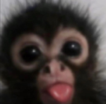 MUNKAYZ