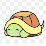 TheCuteTurtles