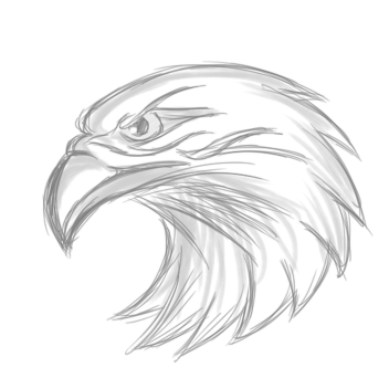 Band of the Hawk