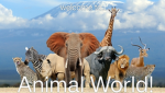 ~ Animal World ~ Group Thumbnail