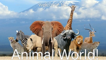 ~ Animal World ~ Roblox group icon