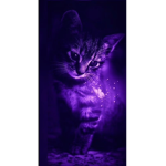 Sasaaaaaa