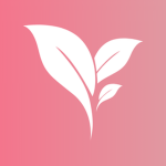 Flora Customs I Roblox Group