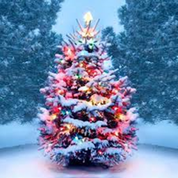 christmas fun!