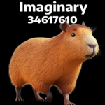を Imaginary