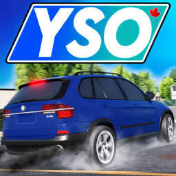 ⛽ (MILEAGE + ENGINE TUNING) Young Street, Ontario icon