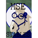 ~ MindSet Equestrian Center ~