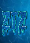 .ZTZ.