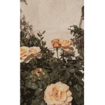 • Flower Academy •