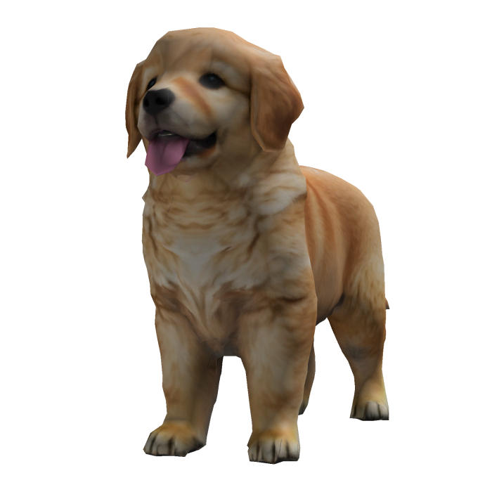 Golden Retriever Puppy Dog Pet