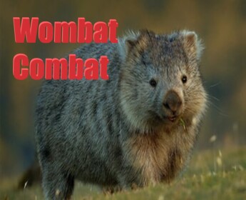 Wombats Combat! [BETA]