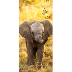 Elephant squad for life!:D