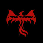 [PBB] Team Phoenix