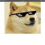 DOGE SWAGGY ARMY