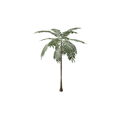 PalmtreeVar1