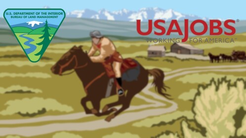 USAJobs Application Center