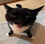 AriKawaii142536