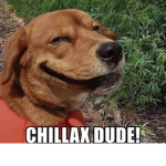 Chillax dude