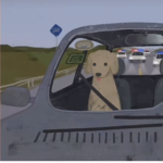 *dog-days*