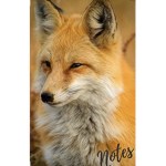 the foxies are the best!!