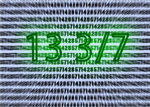 Organization 133/7