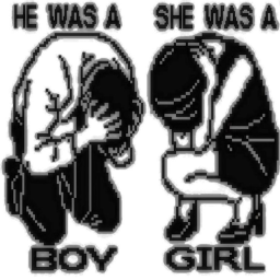 ♰ ｡⋆