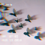 Unicorn Squad!!:)