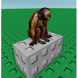 Monkey Meeting Grounds (WIP)