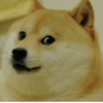 Doge_TW