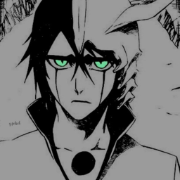 Bleach, After the End.
