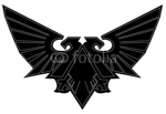 Black Eagle Assualt Company