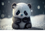 Pandabär