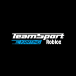Teamsport Karting Roblox