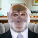 PingwinoPreston