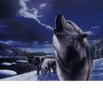 TheWolfCreators