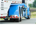 Bobtail Trucking inc.