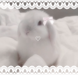 ૮ ˶ᵔ ᵕ ᵔ˶ ა
