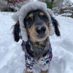 snow