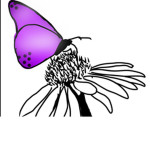 The bees and the butterflies