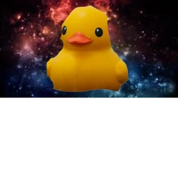 The Duck Home icon