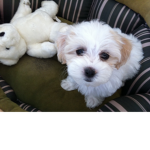 brooklynnnn<3
